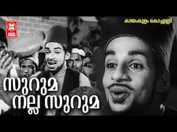 Suruma Nalla Suruma | Kayamkulam Kochunni | P Bhaskaran | BA Chidambaranath | KJ Yesudas