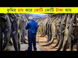 চীনে চাষ হচ্ছে কুমির😱