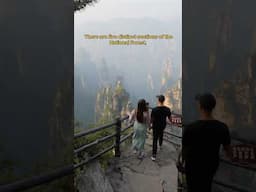 Your travel guide to the Avatar Mountains 🇨🇳 #zhangjiajie #avatarmountains #china