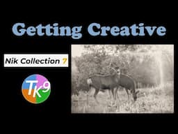 Mastering Creativity with NIK Collection 7 & the TK9 Plugin for Photoshop