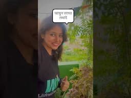 রাতের অতিথিরা দিনে #shorts #owls