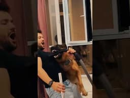Dogs protecting their owners. When a dog steps up to protect, it’s about loyalty, instinct, love.