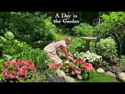 A Day in the Spring Garden- Planting Tuberous Begonias & Foxgloves in Cottage Borders & Window Boxes