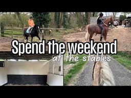 Spend the weekend at the stables with us | Backing my young horse | Bringing Gambler back into work