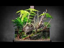 Mini Indoor Pond: Shallow Aquascape Tutorial (Part 2)