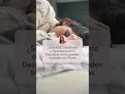 Terapeuta en Flores de Bach ¿cómo ayudar a otras personas indicando Flores?