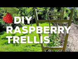 DIY Raspberry Trellis for Summer-Bearing Varieties