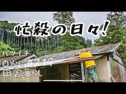 【田舎暮らし】のんびりなんて嘘だった！現実は忙殺される毎日…
