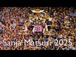 LIVE Final Day of Sanja Matsuri 2025 Tokyo's LARGEST Festival