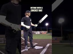 Can we hit a homer with a CRICKET BAT?