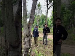 Tập 4 : Người Kể Chuyện Trầm Hương #xh #chiasekienthuc #hottrend #tramhuongkhanhhoa