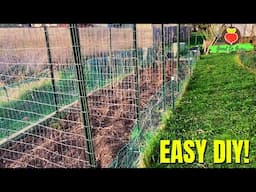 Easy DIY Trellis Anyone Can Make for Cheap!