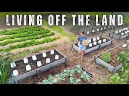FOOD SECURITY Starts HERE (planting our BIGGEST crops!)