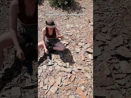 Fossil hunting on an ancient ocean floor