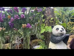 Thailand Trip (11) Nong Nooch Garden - P2