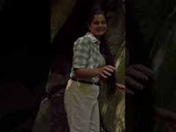 ചിലന്തിയാർ Waterfalls. ഏറ്റവും മനോഹരമായ വെള്ളച്ചാട്ടം #shorts #youtubeshorts #chilanthiyar