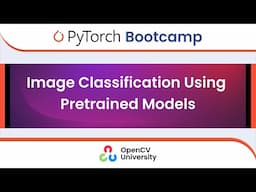 Pytorch Bootcamp for Beginners - 4 | Image Classification Using Pretrained Models
