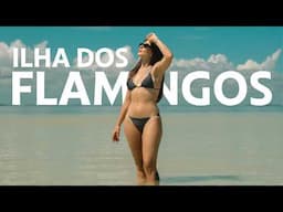 BÊBADOS DE MEZCAL NA PRAIA COM FLAMINGOS | DANI NOCE VIAGEM | MÉXICO 04