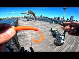 East River Fishing NYC Lures and Bait