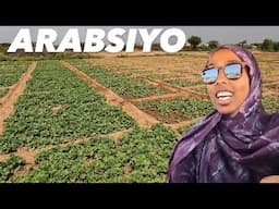 FARM TOUR IN ARABSIYO TOWN 45mins outside of Hargeisa Somaliland 2025