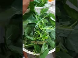 masak sarapan pagi #kuliner #masak #sarapan #makan #masakan #makanan