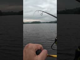 Catching A New Species!  #fishing #snapper #srilanka