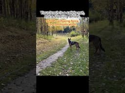 ⚠️Your leash is a safety net, not a steering wheel.   #dogtrainer #dogtraining #dogs