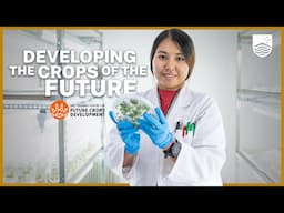 How scientists are working with farmers to develop the crops of the future