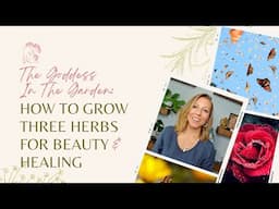 The Goddess In The Garden: How To Grow Three Herbs For Beauty & Healing | Ashley Elenbaas