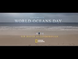 World Oceans Day | National Geographic