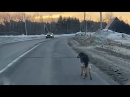 Thousands Passed Him By - We Were the First to Stop!