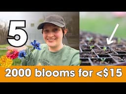 Top 5 Flowers to Start in April