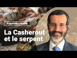 Cacheroute et serpent : ce que la Torah place en son centre – Rav Itshak Chouraqui sur Chemini