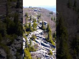 The Dolly Sods Wilderness. #wv #seneca #mountains