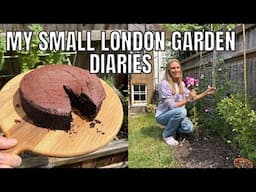 HOME GARDENING AND COOKING / SMALL LONDON GARDEN DIARIES