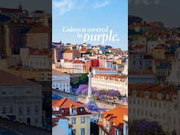 #Lisbon is in bloom! 🌸💜 @inthemoodforlife_official #travel #portugal #fyp #shorts #reels #foryou