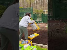 The ONE thing I always do at the start of every gardening season. Amend the soil! Here’s why.