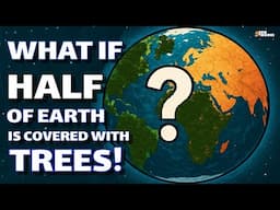 WHAT IF half of Earth's LAND is covered with TREES?