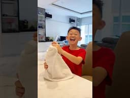 What Happens When CATS Play with Your Water Bottle 🤣 #shorts #catvideos #funny #fyp #shortsviral