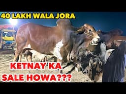 40 Lakh Wala Jora Ketnay Main Sale Howa | Live Deal Hui Faisalabad Mandi Main