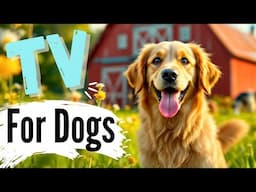 Adorable Dogs Explore Beautiful Countryside Farm – Your Dog Will LOVE This! 🐾🌾