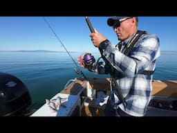 Huge Bait Eaten by A FISH OF A LIFETIME
