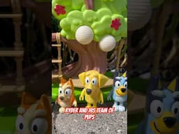 Paw Patrol Song with BLUEY! Candy Pop Bluey Toys 🍭 #bluey
