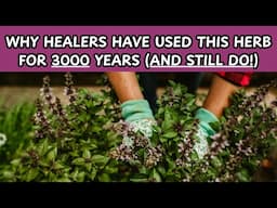 The Queen of Herbs: Surprising Ways Tulsi can Transform Your Health / Earth's Medicine