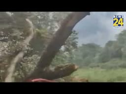 Uttarakhand: केदारनाथ के पास गौरीकुंड में हेलिकॉप्टर क्रैश…हादसे में पायलट समेत 7 लोगों की हुई मौत
