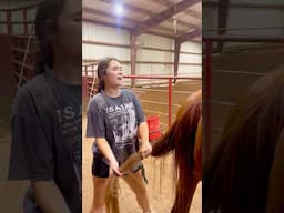 Beginner Vs Experienced Horse Owners! 🐴 #shorts #animals