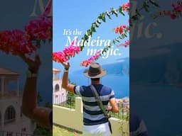 #Madeira magic 🌸🏝️ #Portugal #travel #shorts #reels #fyp #foryou #summer #foryoupage #island #life