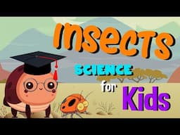 Insects | Science for Kids