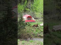 Trackway of Bigfoot Documented near Meeks Cabin in Uinta Mountains #bigfoot  #skunkape #sasquatch