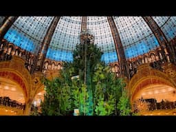 Dept Store Xmas Windows (2022) - Paris Live #141